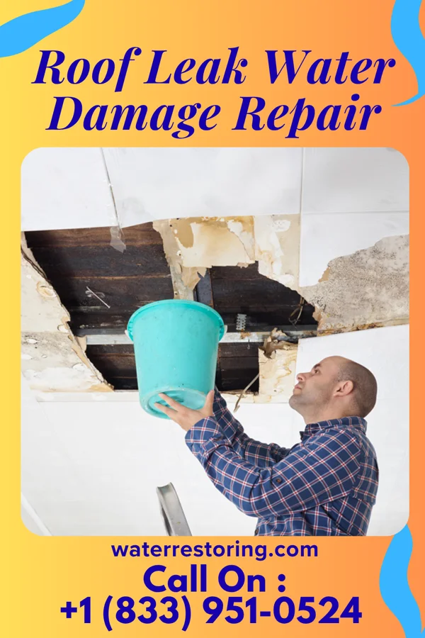 Roof Leak Water Damage Repair in Franklin, IA